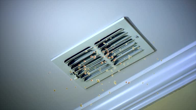 Best Residential Air Duct Cleaning  in East Prairie, MO