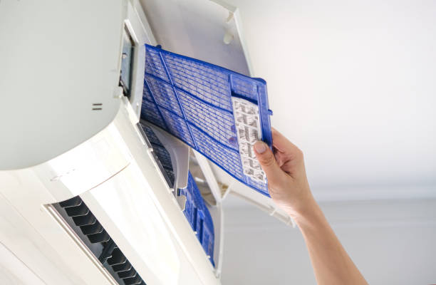 Best Local Air Duct Cleaning Services  in East Prairie, MO