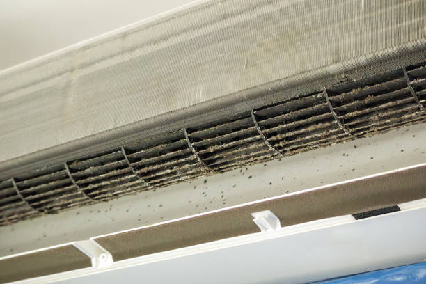 Best Affordable Air Duct Cleaning  in East Prairie, MO